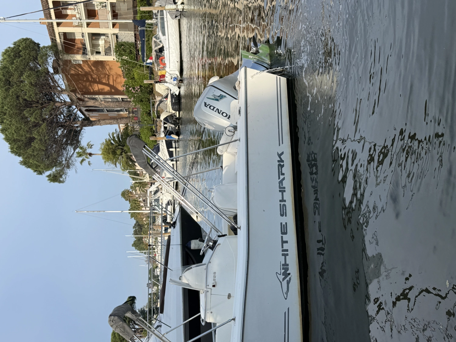 KELT ARINE WHITE SHARK 225