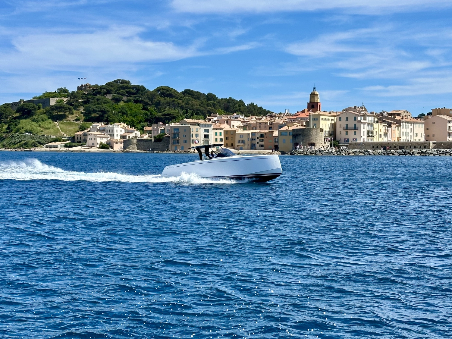 PARDO 38